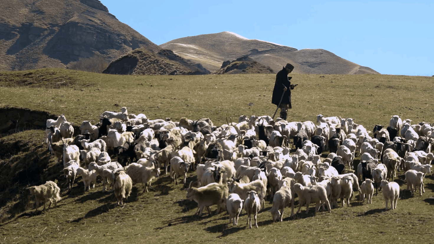 Народный герой