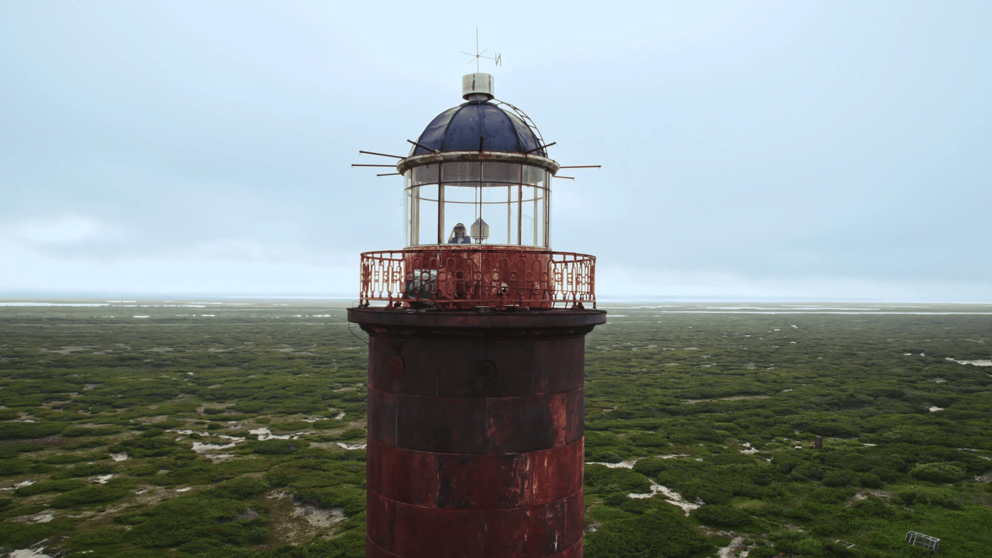 О людях и китах